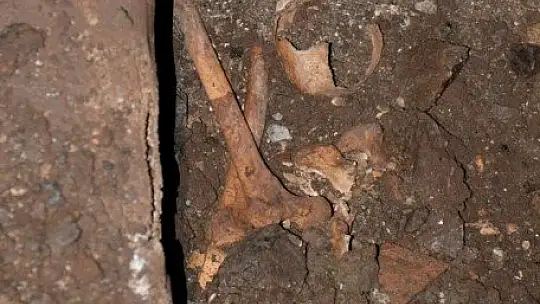 Top oynayan çocuklar tarihi mezar buldu