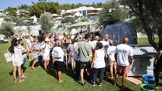 TURİSTLER TATİLİ BIRAKIP ZEYTİN TOPLADI