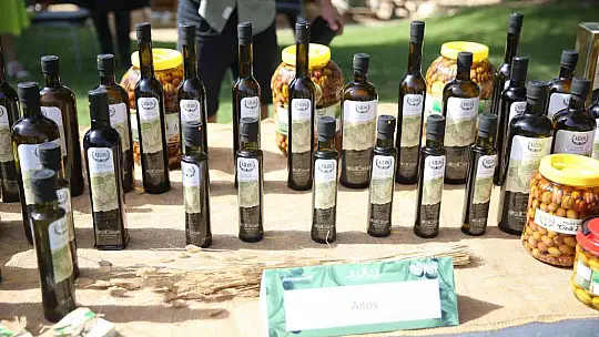 TURİSTLER TATİLİ BIRAKIP ZEYTİN TOPLADI