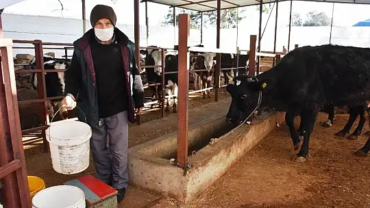 Turizm kenti Bodrum'un merkeze bağlı köyünde susuzluk isyanı