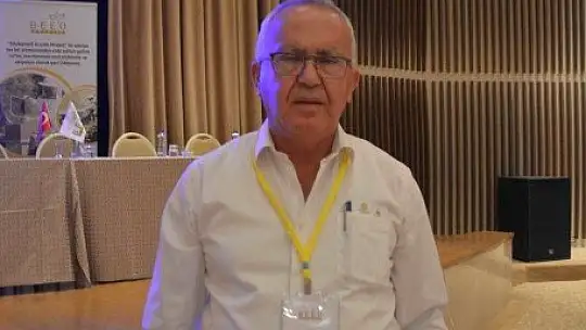 Türkiye Arı Yetiştiricileri Merkez Birliği Başkanı Ziya Şahin: 'Acil eylem planı hazırlanmalı'