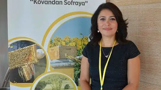 Türkiye Arı Yetiştiricileri Merkez Birliği Başkanı Ziya Şahin: 'Acil eylem planı hazırlanmalı'