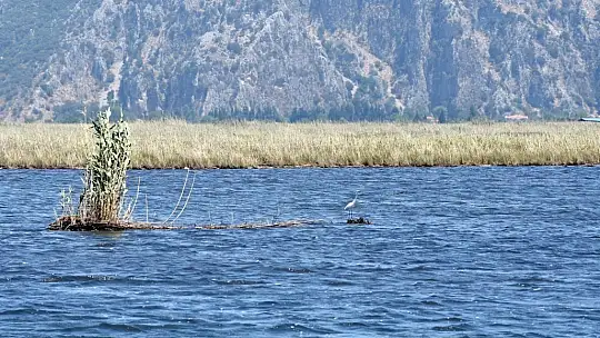 Türkiye'nin en fazla paylaşılan fotoğrafları arasında yer alıyor