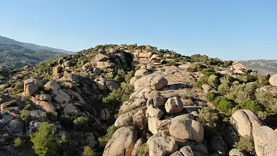 Türkiye'nin en yaşlı kayaları yangından kurtuldu