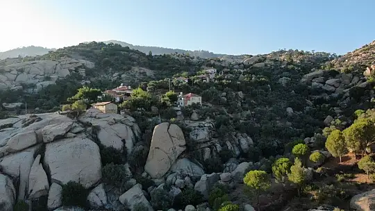 Türkiye'nin en yaşlı kayaları yangından kurtuldu