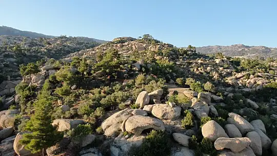 Türkiye'nin en yaşlı kayaları yangından kurtuldu