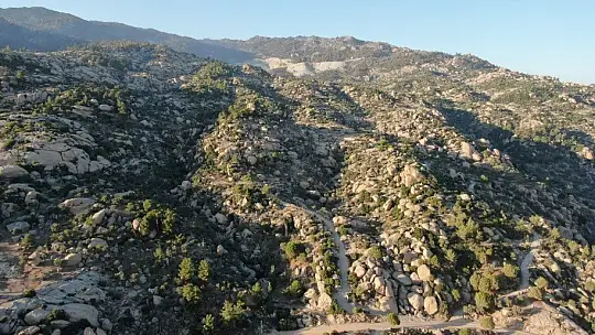 Türkiye'nin en yaşlı kayaları yangından kurtuldu