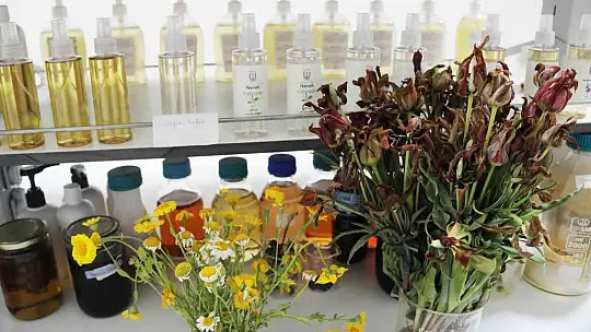 Türkiye'nin ilk tıbbi aromatik bitki dijital kütüphanesi kuruluyor