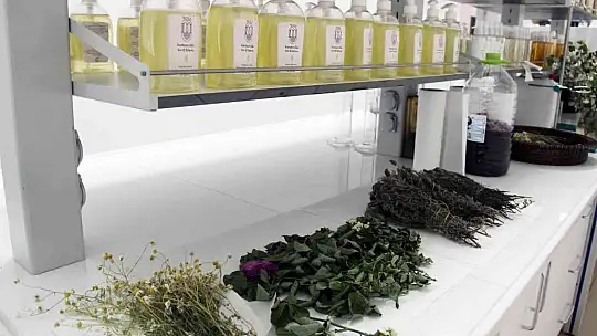 Türkiye'nin ilk tıbbi aromatik bitki dijital kütüphanesi kuruluyor