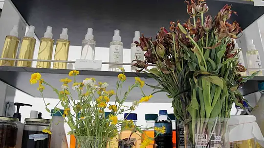 Türkiye'nin ilk tıbbi aromatik bitki dijital kütüphanesi kuruluyor