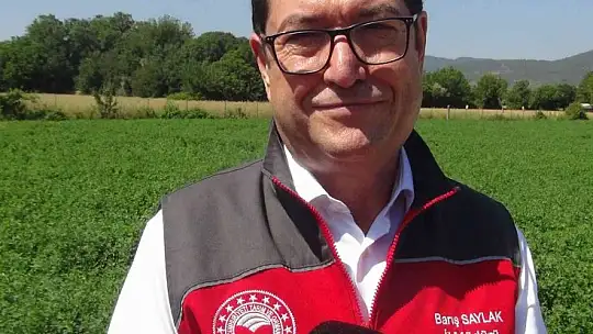 Türkiye'ye örnek proje 'Buzağım Doğdu' ihbar hattı