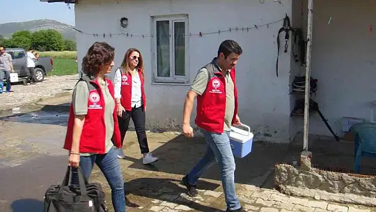 Türkiye'ye örnek proje 'Buzağım Doğdu' ihbar hattı