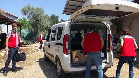 Türkiye'ye örnek proje 'Buzağım Doğdu' ihbar hattı