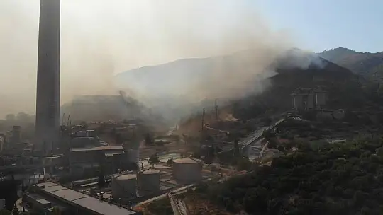 Türkiye'yi diken üstünde tutan yangında alevler termik santrali böyle sardı