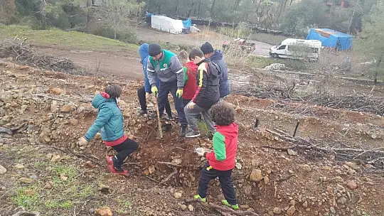 Turnuvaya gelen futbolcular fidan dikti