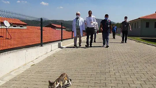 TVHB Başkanı Eroğlu: 'Veteriner hekimlerimiz canla başla çalışıyor'