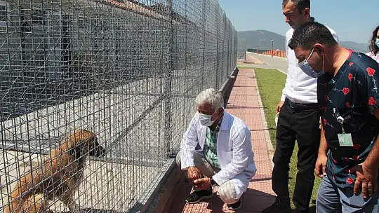 TVHB Başkanı Eroğlu: 'Veteriner hekimlerimiz canla başla çalışıyor'