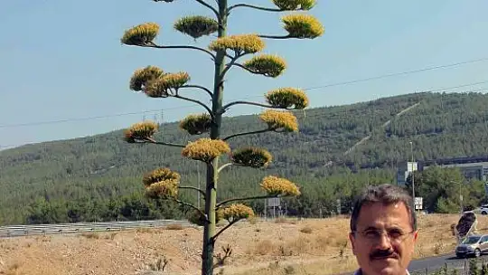 Unesco Dünya kültür mirası listesinde