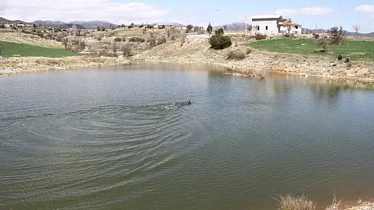 Unuttuğu el freni, eşinin hayatına mal oldu