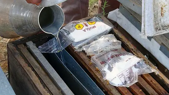 Üreticiler arıların ölmemesi için mücadele veriyor