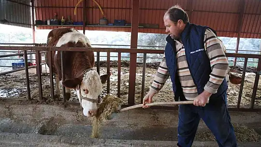 Üreticiler çiğ süt desteğinin arttırılmasını istiyor