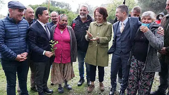 Üreticilere 20 bin adet keçiboynuzu fidanı dağıtıldı