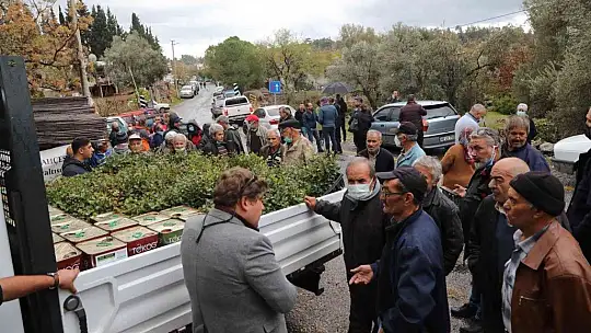 Üreticilere 20 bin adet keçiboynuzu fidanı dağıtıldı