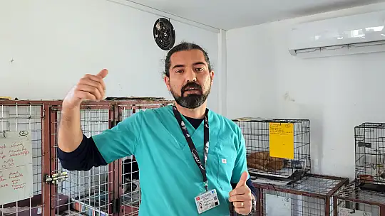 FETHİYE BELEDİYESİ SOKAK CANLARININ YANINDA  