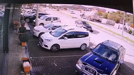 Vicdansız sürücü, köpeği ezip yoluna devam etti