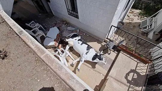 Vitesi karıştırınca işletmeye çarptı