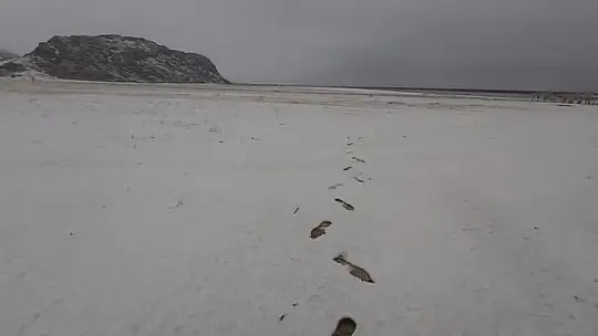 Mevsimin ilk karı kartpostallık görüntüler oluşturdu