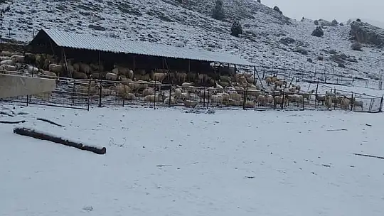 Mevsimin ilk karı kartpostallık görüntüler oluşturdu