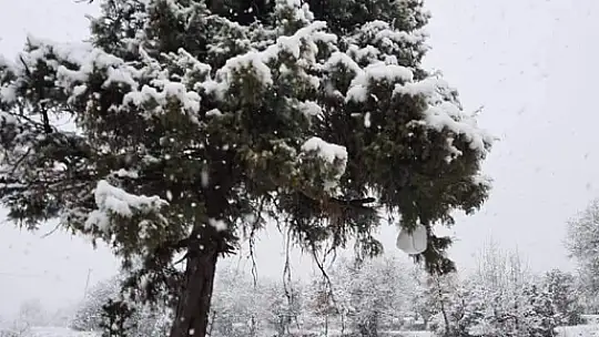 Her yer beyaza büründü 