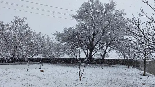 Her yer beyaza büründü 