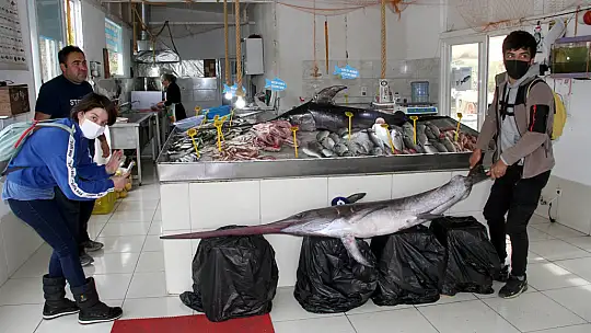 3,5 metre uzunluğunda kılıç balığı yakaladılar