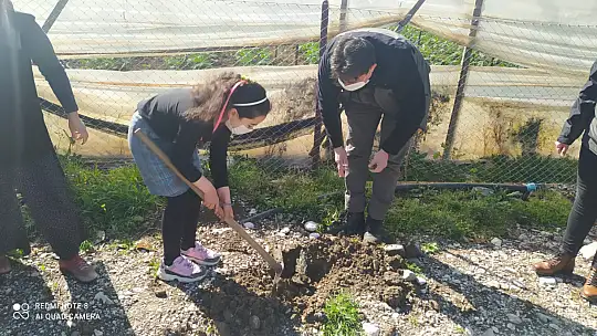 Aramotik bitkilerden lavanta fidanı dağıtımı gerçekleştirildi