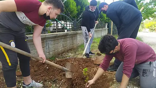 Orman Haftası'nda 100. yıl hatıra ormanı