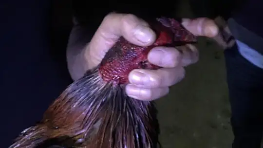 Koronavirüsü hiçe saydılar