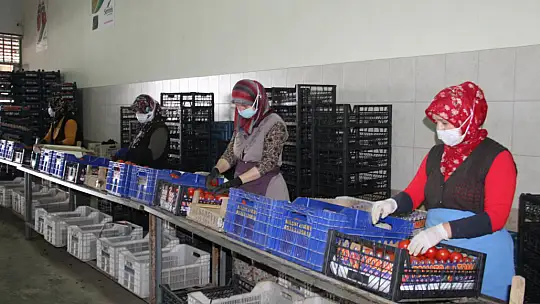 Haller 7/24 çalışmaya devam edecek 