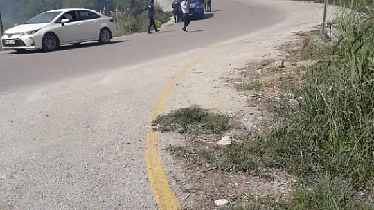5 dönüm zeytinlik alan yandı