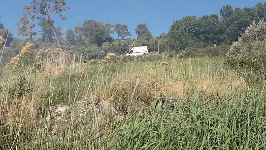 5 dönüm zeytinlik alan yandı