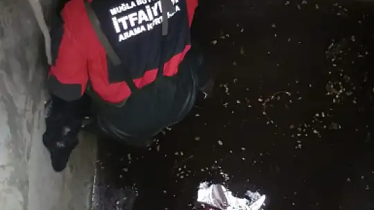 6 metrelik kuyuya düşen keçiyi itfaiye kurtardı