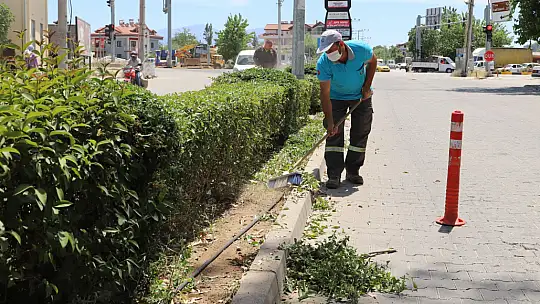 Refüjlerde temizlik ve bakım çalışması yapıldı
