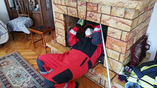 Şömine bacasında mahsur kalan yavru kedi kurtarıldı