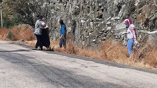 AK Partili Boz, çevremizi koruyarak, gelecek nesillere bırakmalıyız