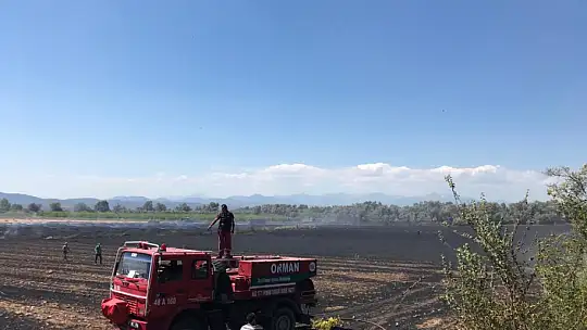 Seydikemerde'ki anız yangınında koyunlarda telef oldu