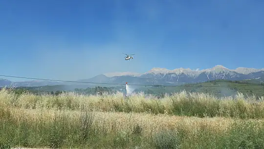 Seydikemerde'ki anız yangınında koyunlarda telef oldu