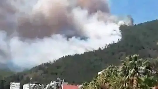 Marmaris'te Orman Yangını