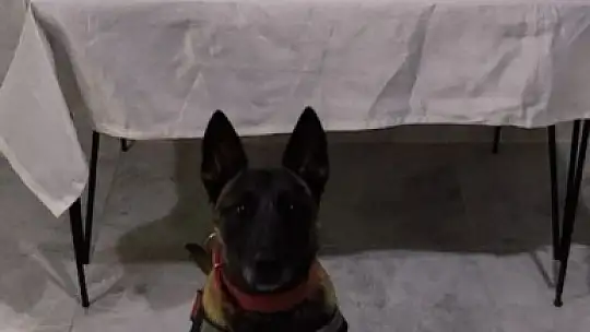 3 yolcunun üzerinden uyuşturucu çıktı