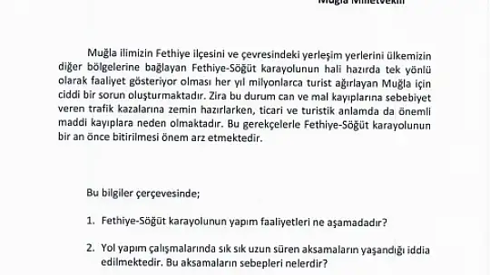 Milletvekili Ergun'dan Fethiye-Söğüt Karayolu Hakkında Soru Önergesi